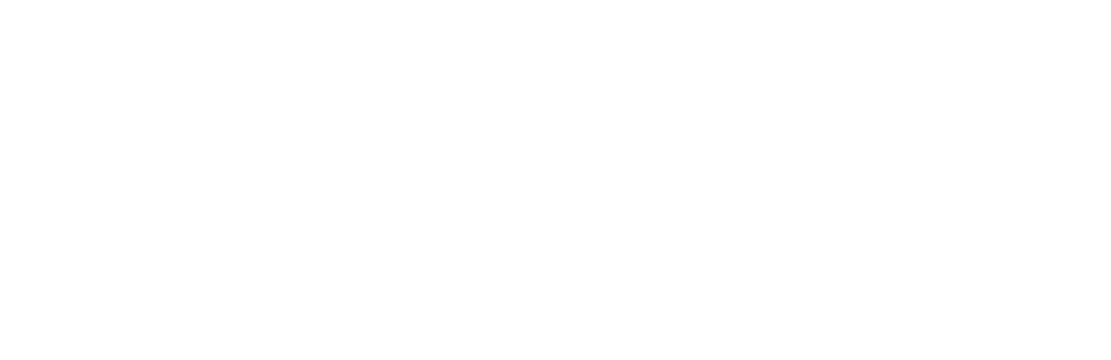 Логотип VISA